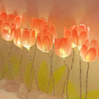 Cuadro Portarretrato Decorativo De Tulip